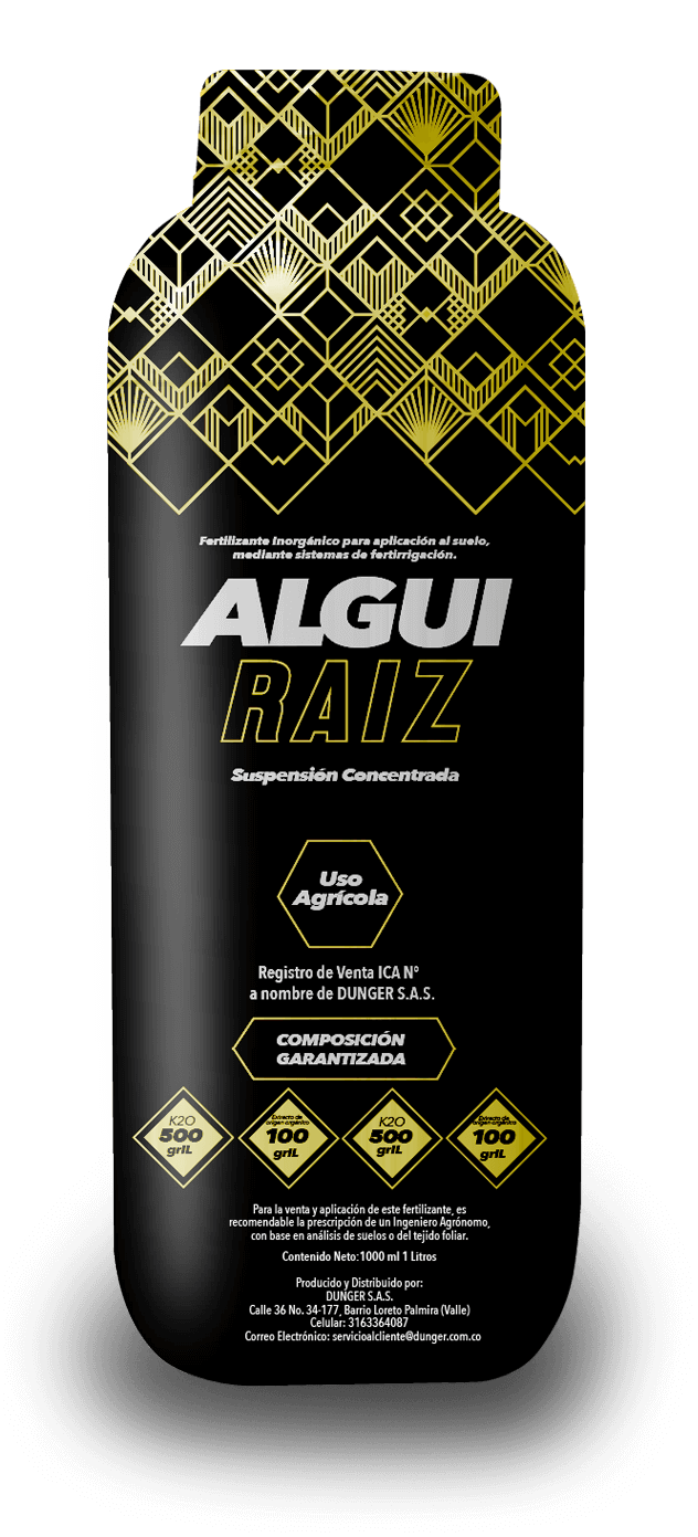 ALGUIRAIZ