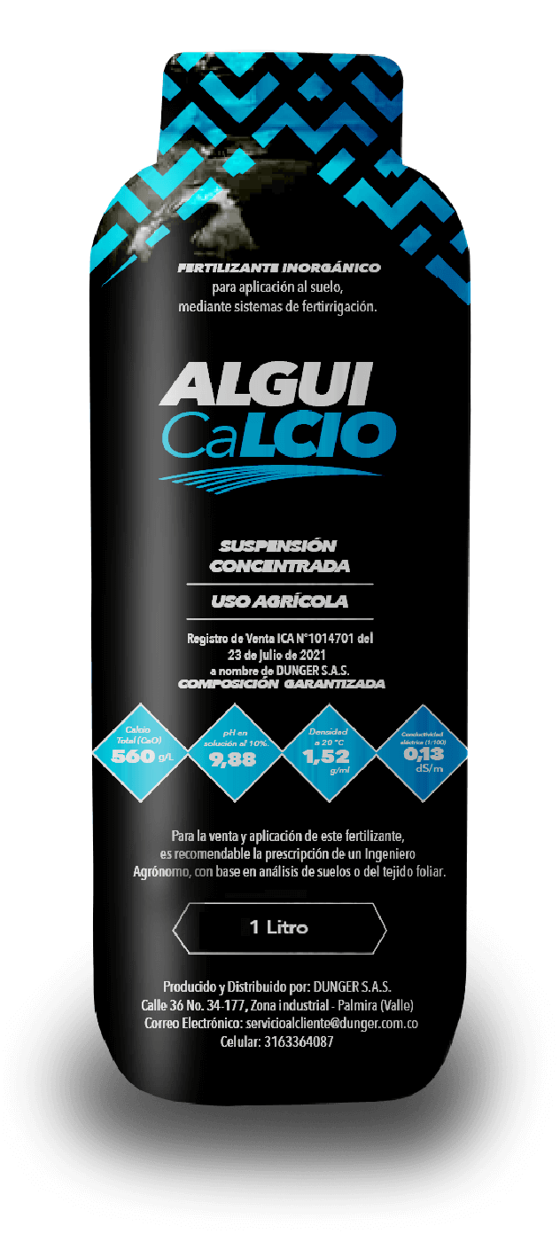 ALGUICaLCIO